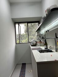 Ivory Heights (D22), Condominium #588894021